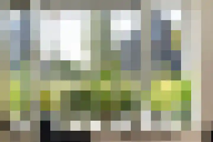 Houtblazerspad 103 Oud-Beijerland thumbnail 27