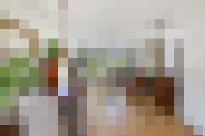 Houtblazerspad 103 Oud-Beijerland thumbnail 30