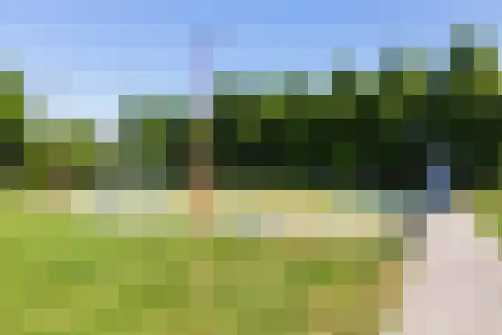 Houtblazerspad 103 Oud-Beijerland thumbnail 41