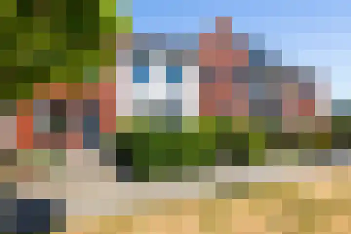 Houtblazerspad 103 Oud-Beijerland thumbnail 6