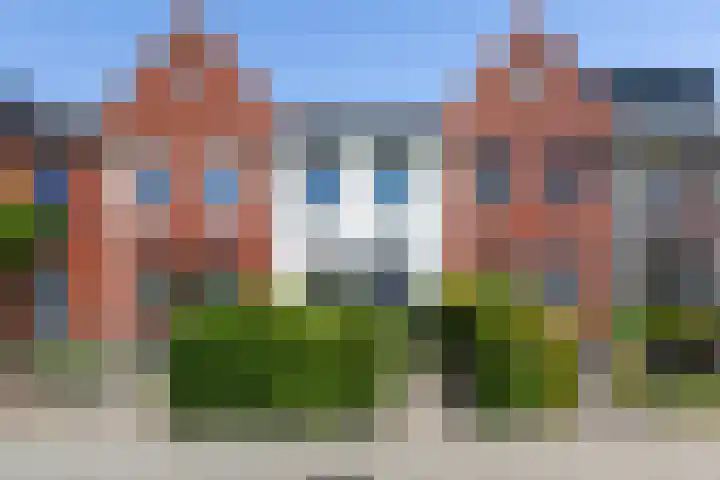Houtblazerspad 103 Oud-Beijerland thumbnail 7
