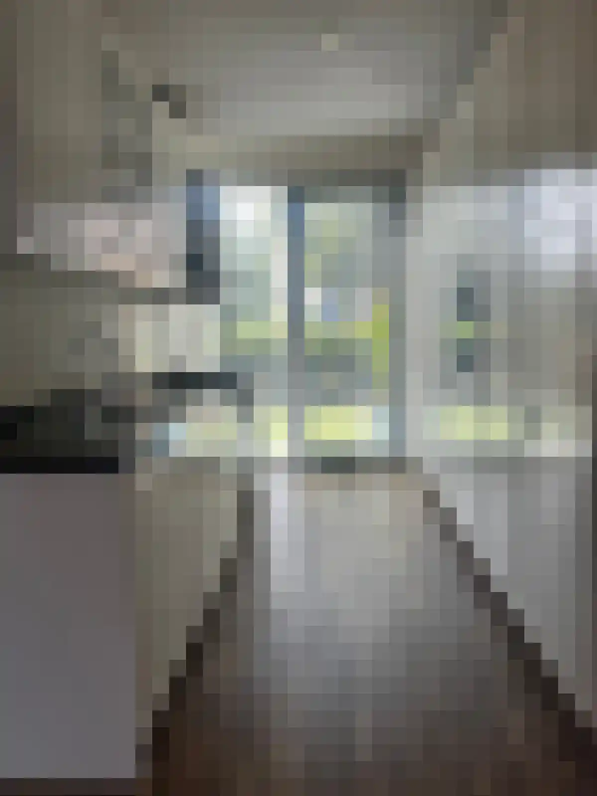 Houtblazerspad 13 Oud-Beijerland thumbnail 6