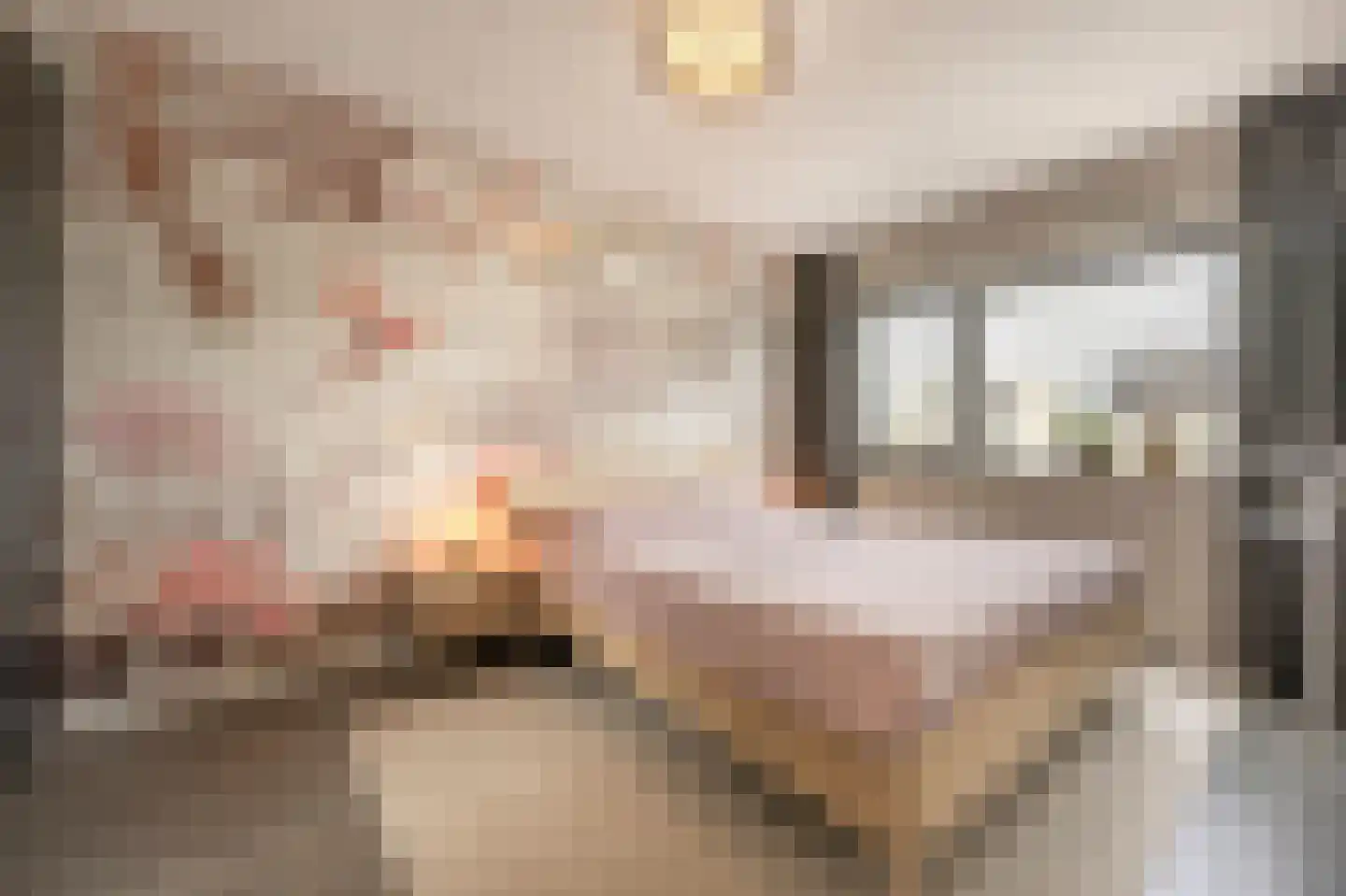 Houtblazerspad 33 Oud-Beijerland thumbnail 19