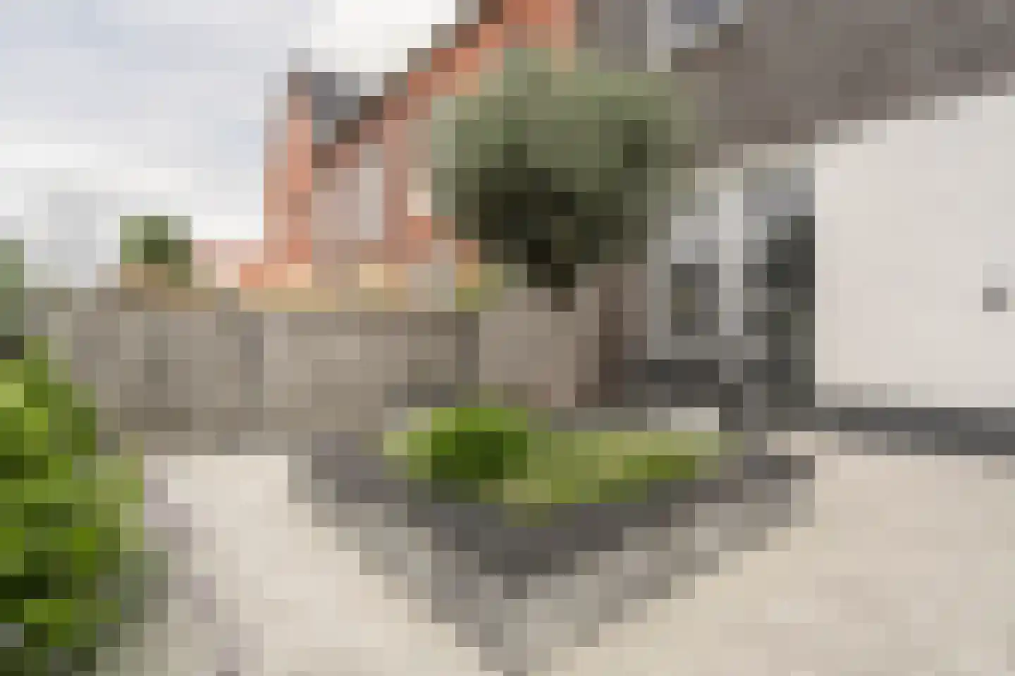 Houtblazerspad 33 Oud-Beijerland foto 2