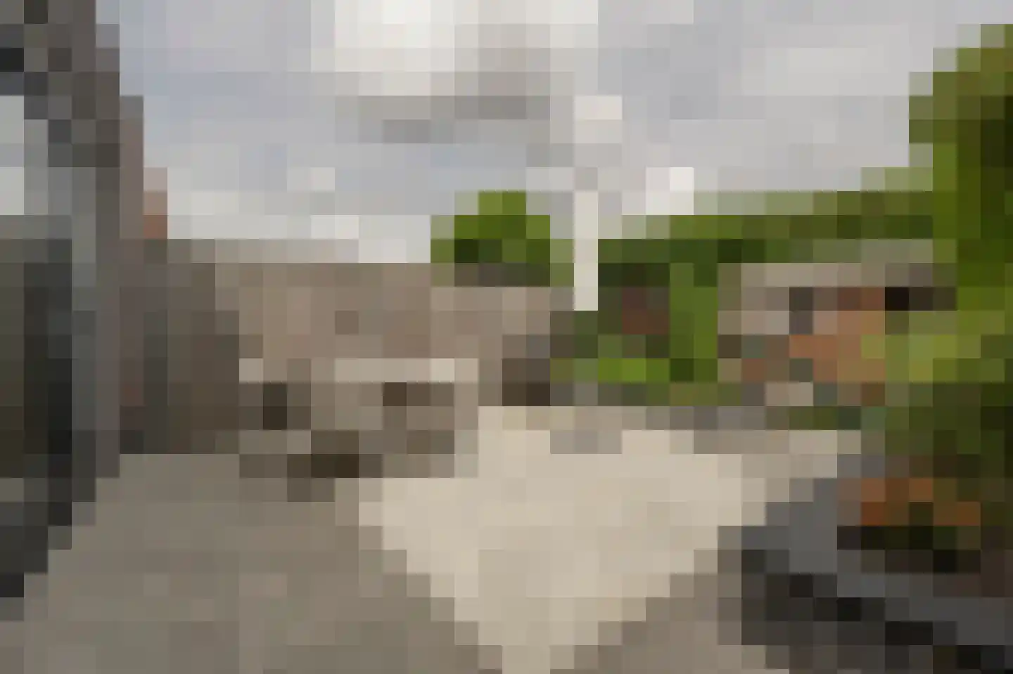 Houtblazerspad 33 Oud-Beijerland thumbnail 36