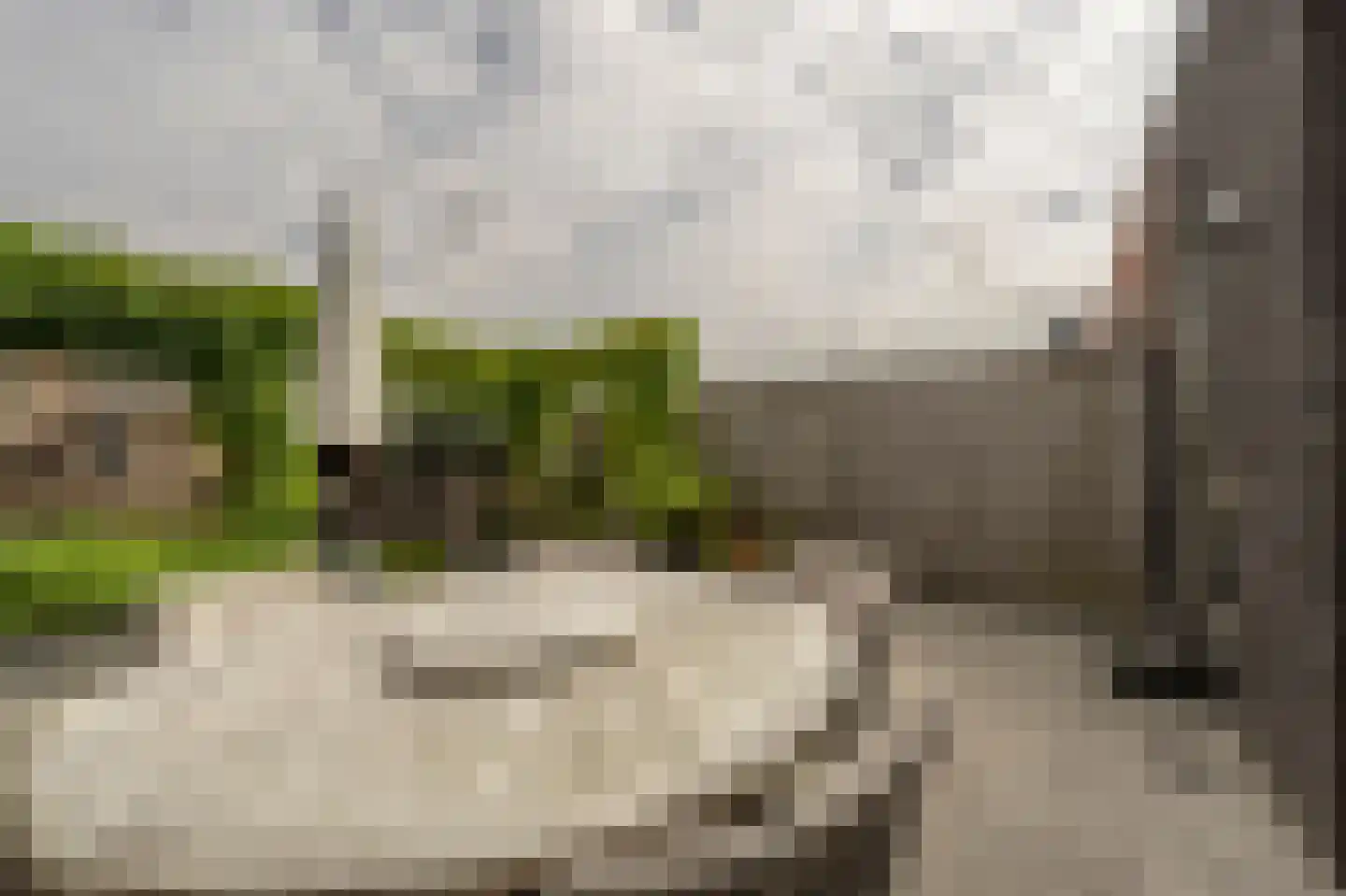 Houtblazerspad 33 Oud-Beijerland thumbnail 37