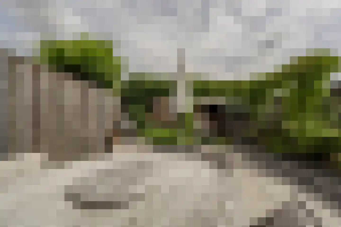 Houtblazerspad 33 Oud-Beijerland thumbnail 39