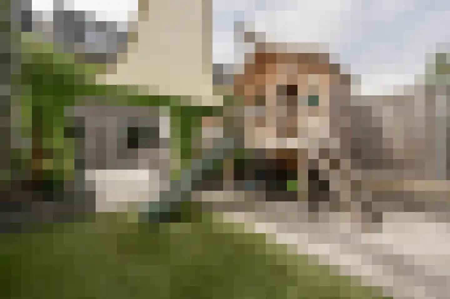 Houtblazerspad 33 Oud-Beijerland thumbnail 41