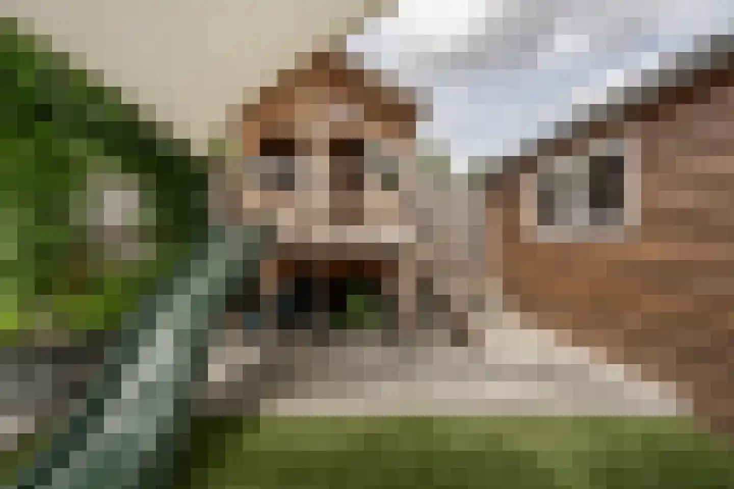 Houtblazerspad 33 Oud-Beijerland thumbnail 42