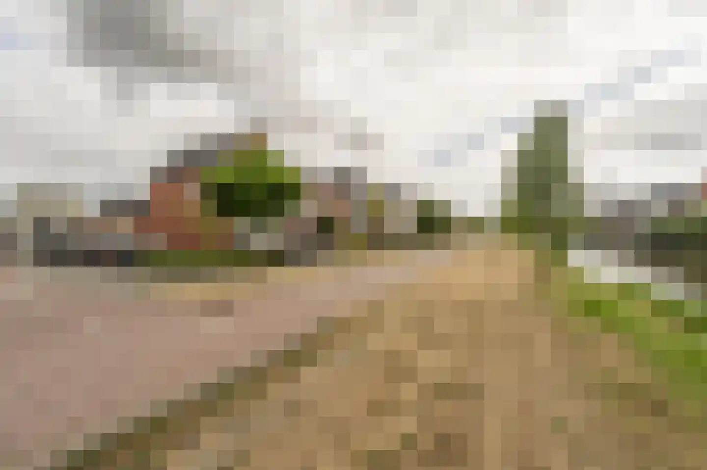 Houtblazerspad 33 Oud-Beijerland thumbnail 44