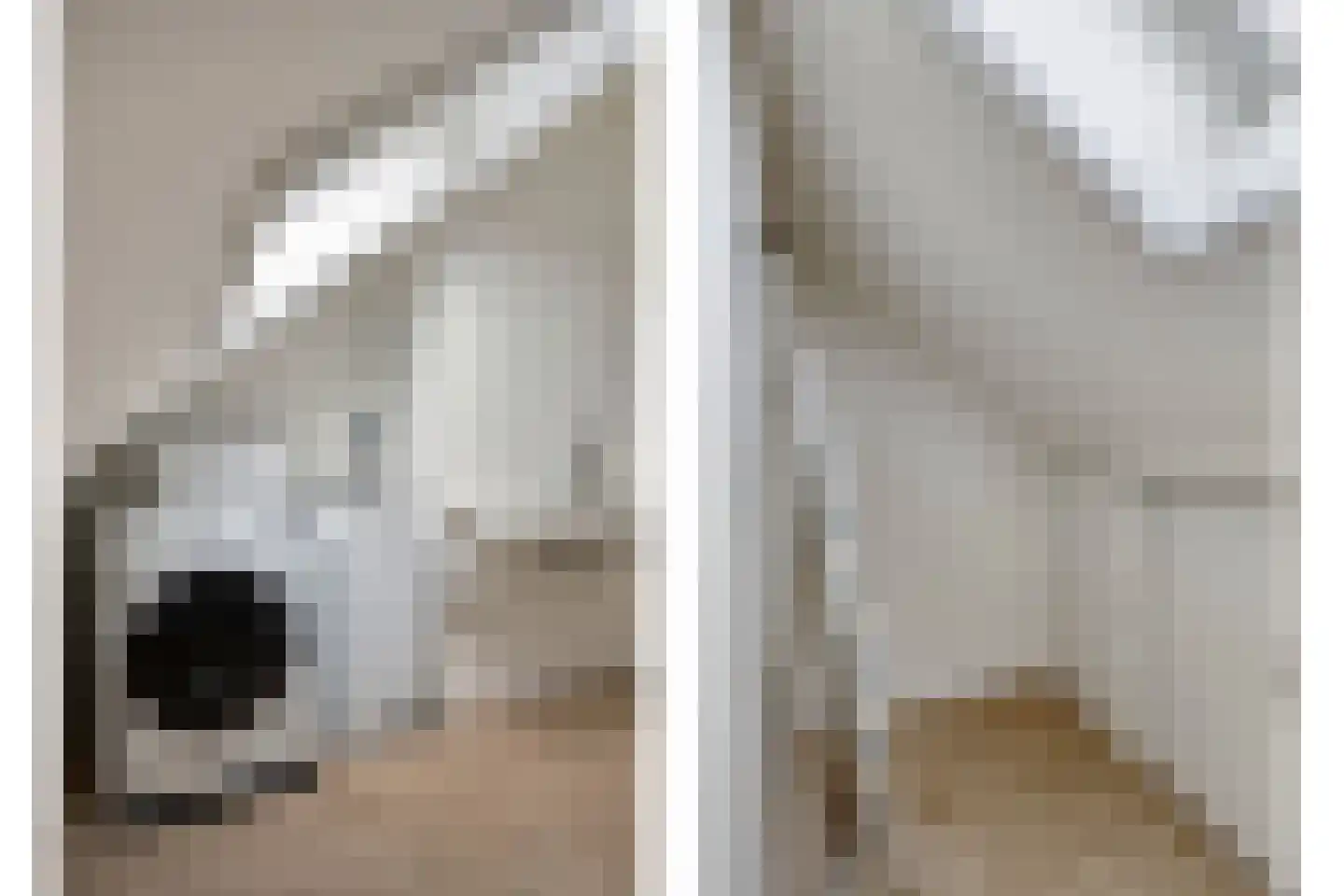Houtblazerspad 73 Oud-Beijerland thumbnail 24