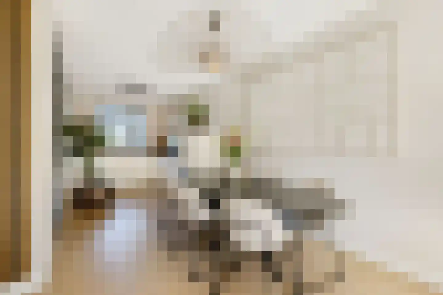 Houtblazersstraat 17 Eindhoven thumbnail 13