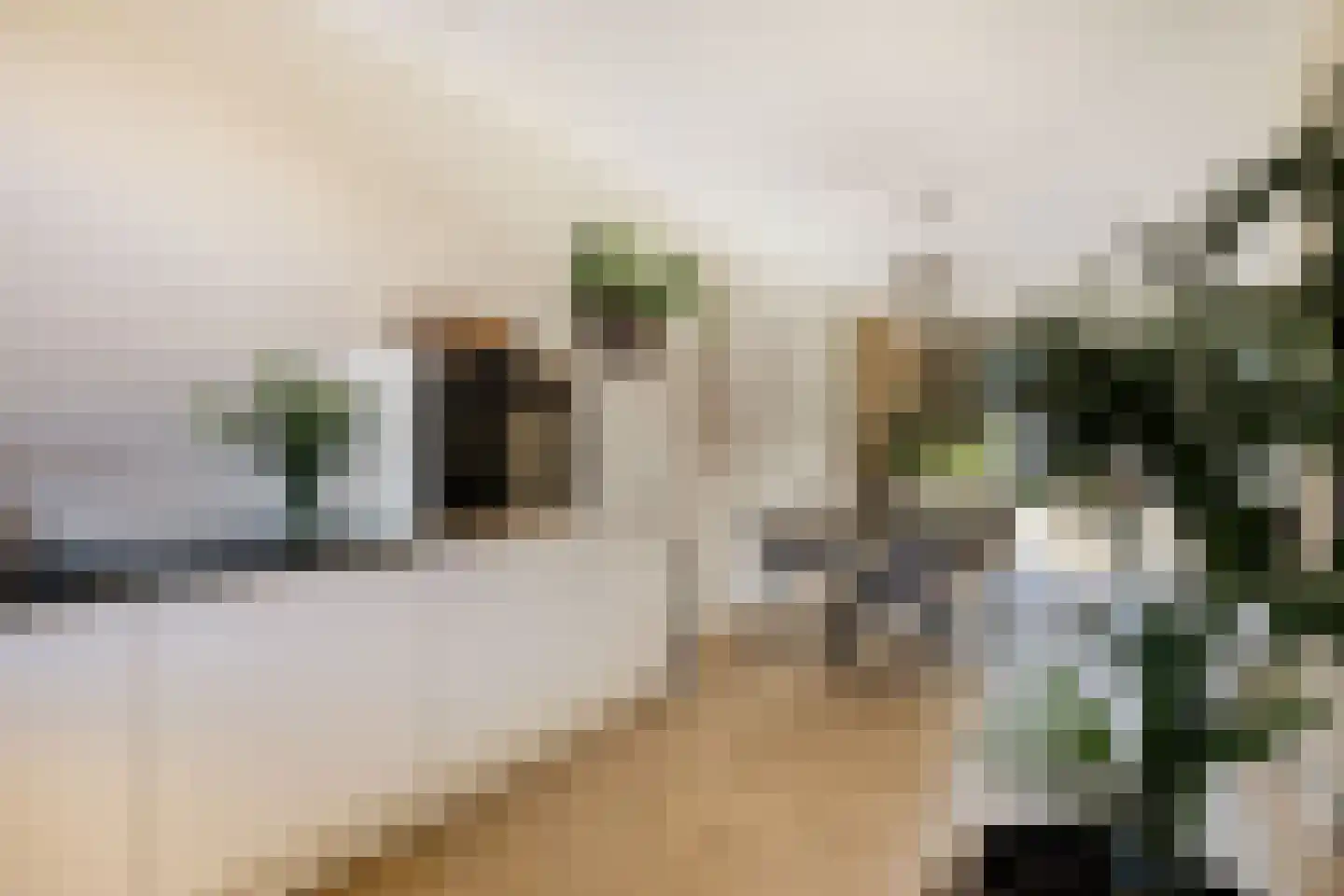 Houtblazersstraat 17 Eindhoven thumbnail 15