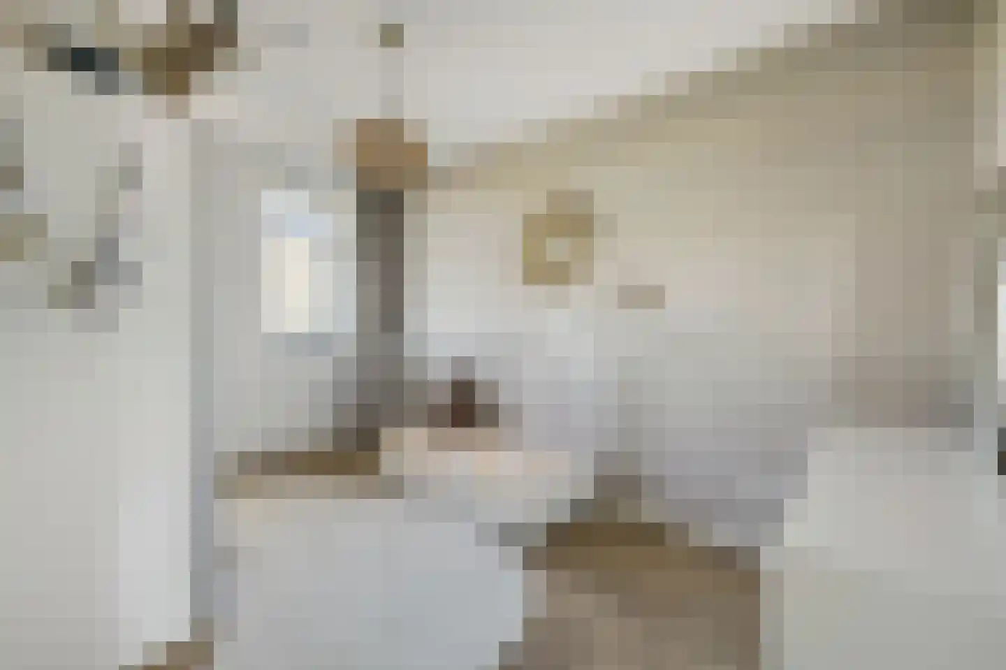 Houtblazersstraat 17 Eindhoven thumbnail 21