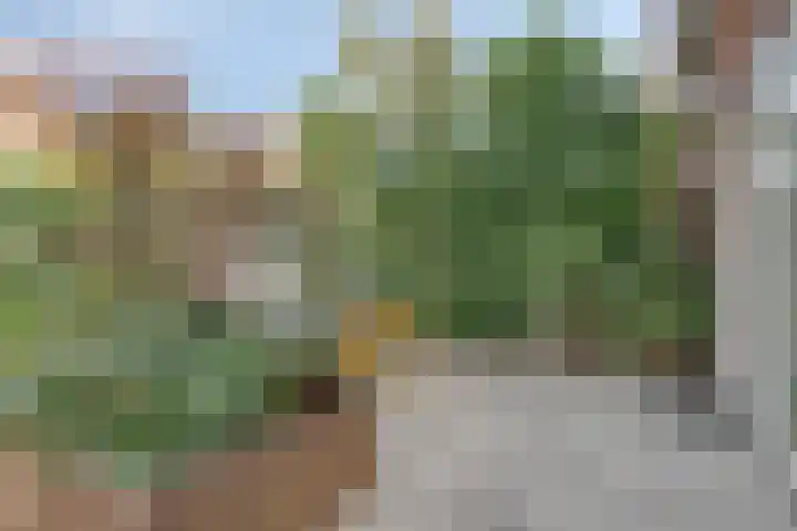 Houtblazersstraat 2 Eindhoven thumbnail 13