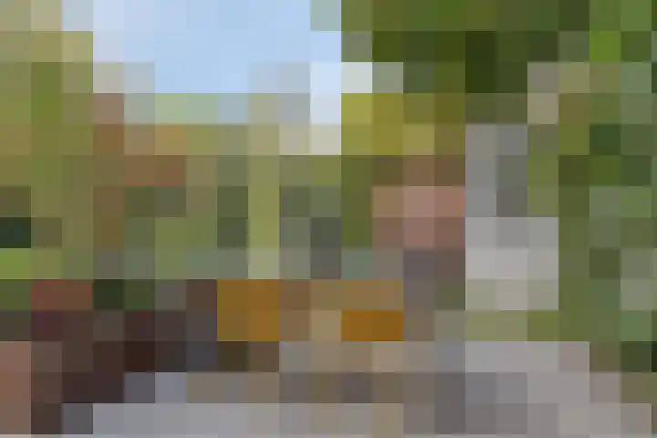 Houtblazersstraat 2 Eindhoven thumbnail 14