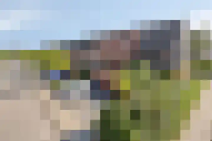 Houtblazersstraat 2 Eindhoven thumbnail 26