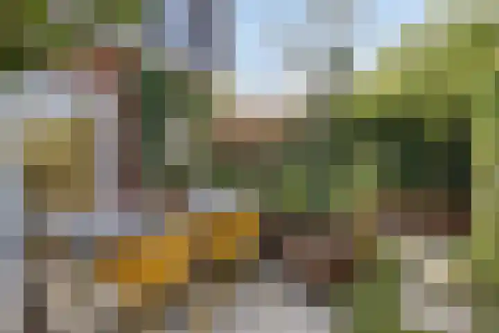 Houtblazersstraat 2 Eindhoven thumbnail 4
