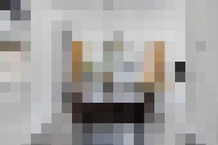 Houtblazersstraat 25 Eindhoven thumbnail 16