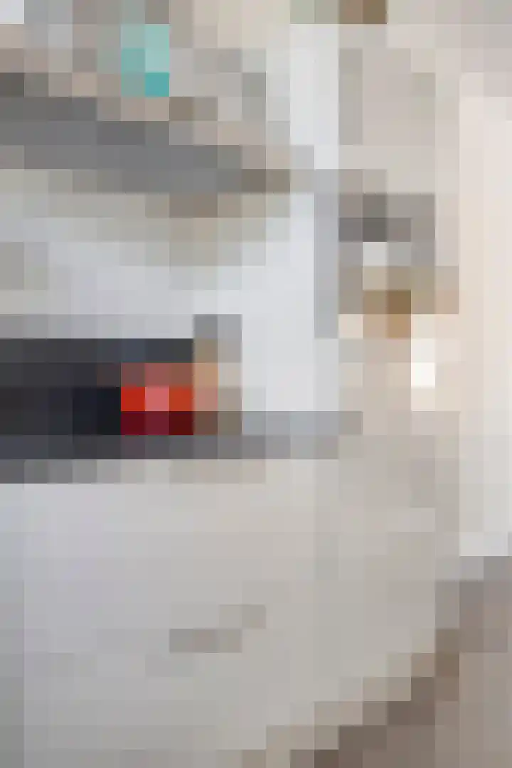 Houtblazersstraat 25 Eindhoven thumbnail 20