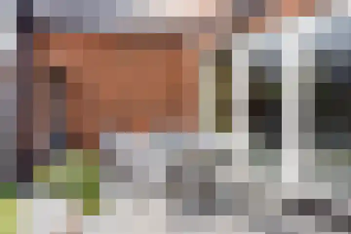 Houtblazersstraat 25 Eindhoven thumbnail 39