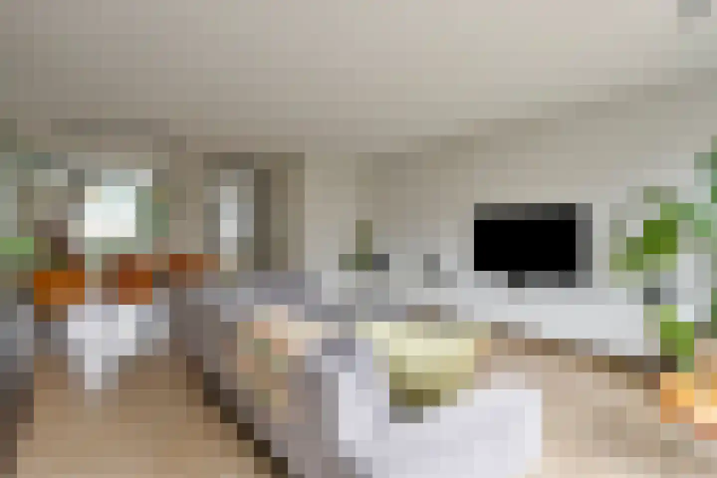 Houtblazersstraat 27 Eindhoven thumbnail 10