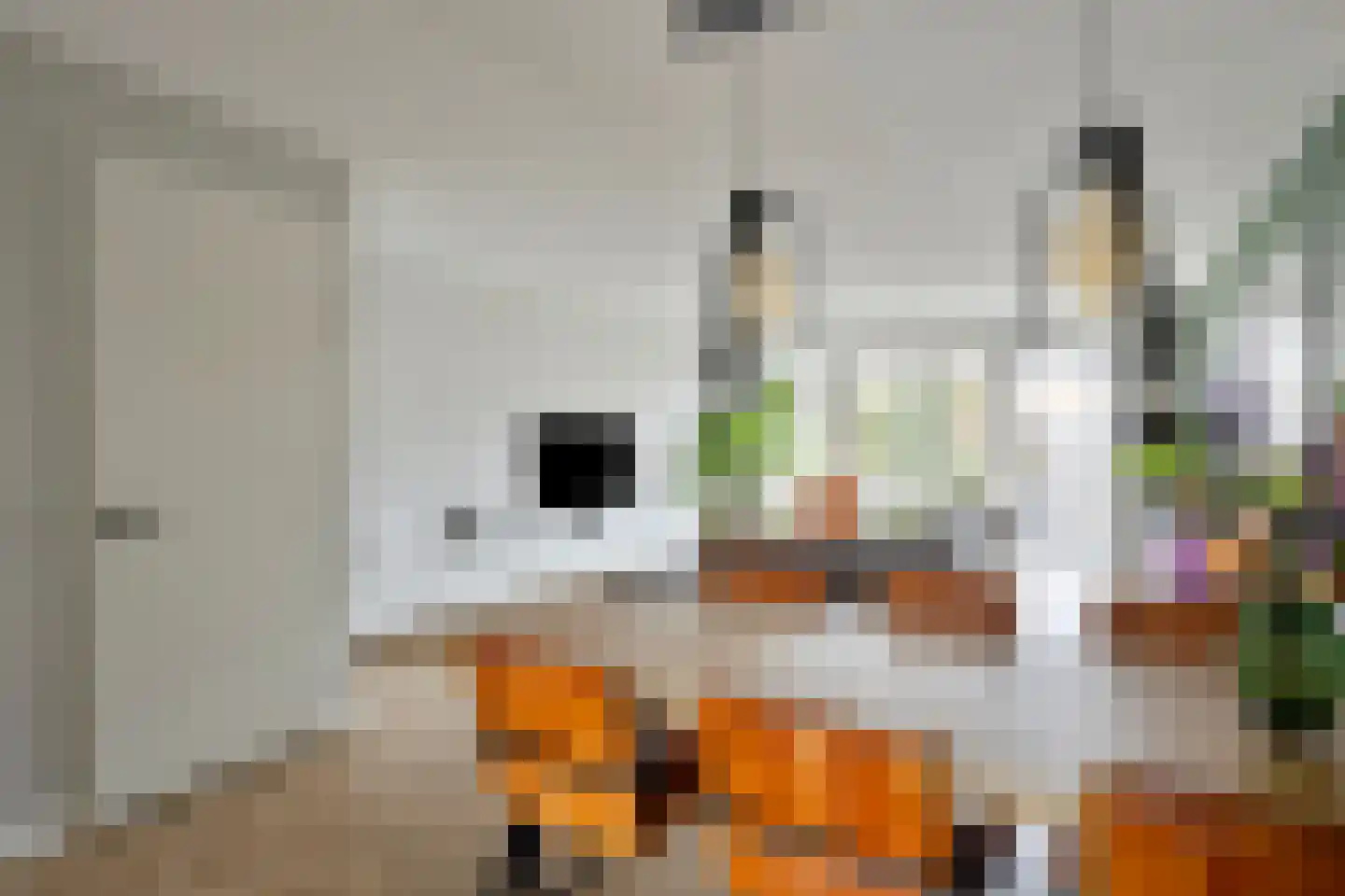 Houtblazersstraat 27 Eindhoven thumbnail 13