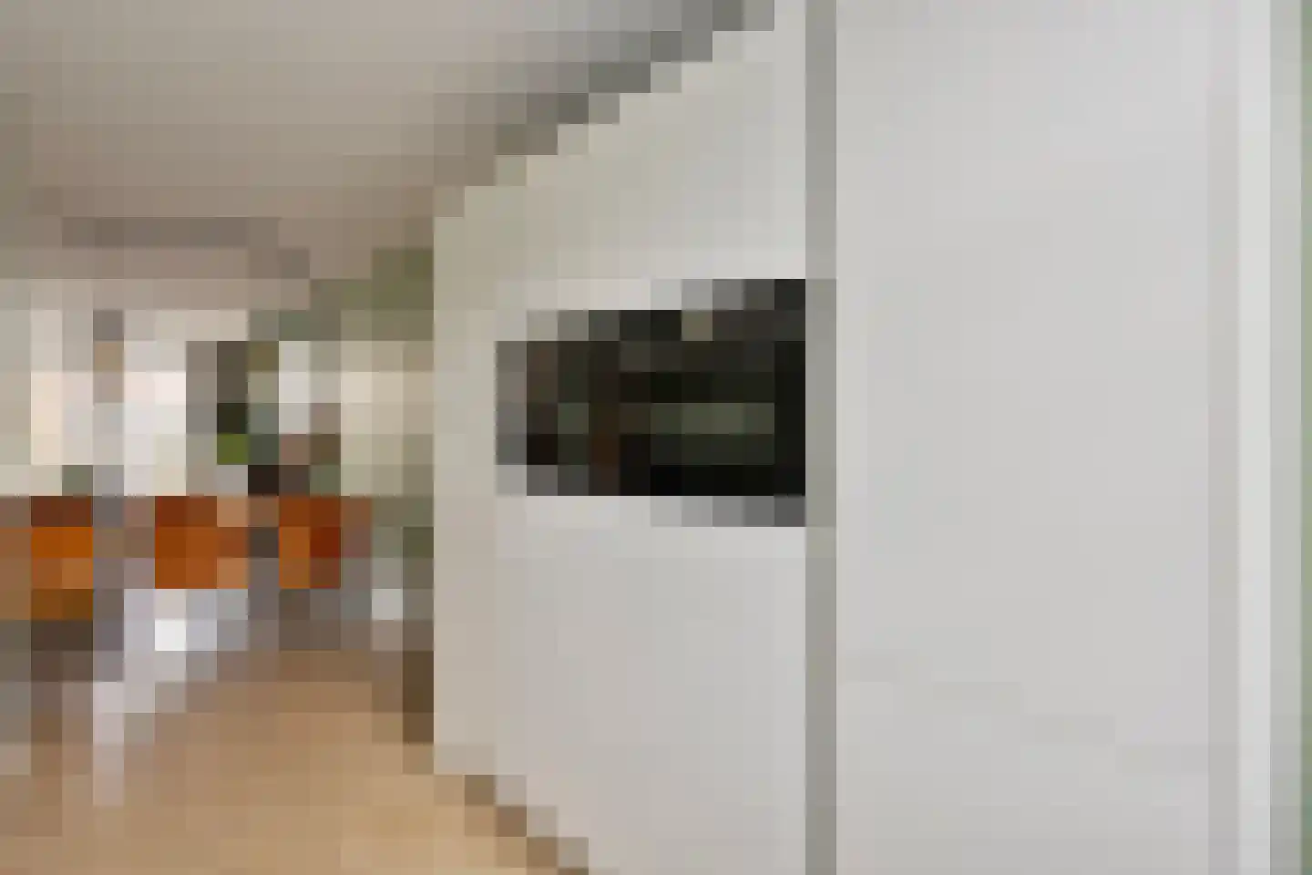 Houtblazersstraat 27 Eindhoven thumbnail 16