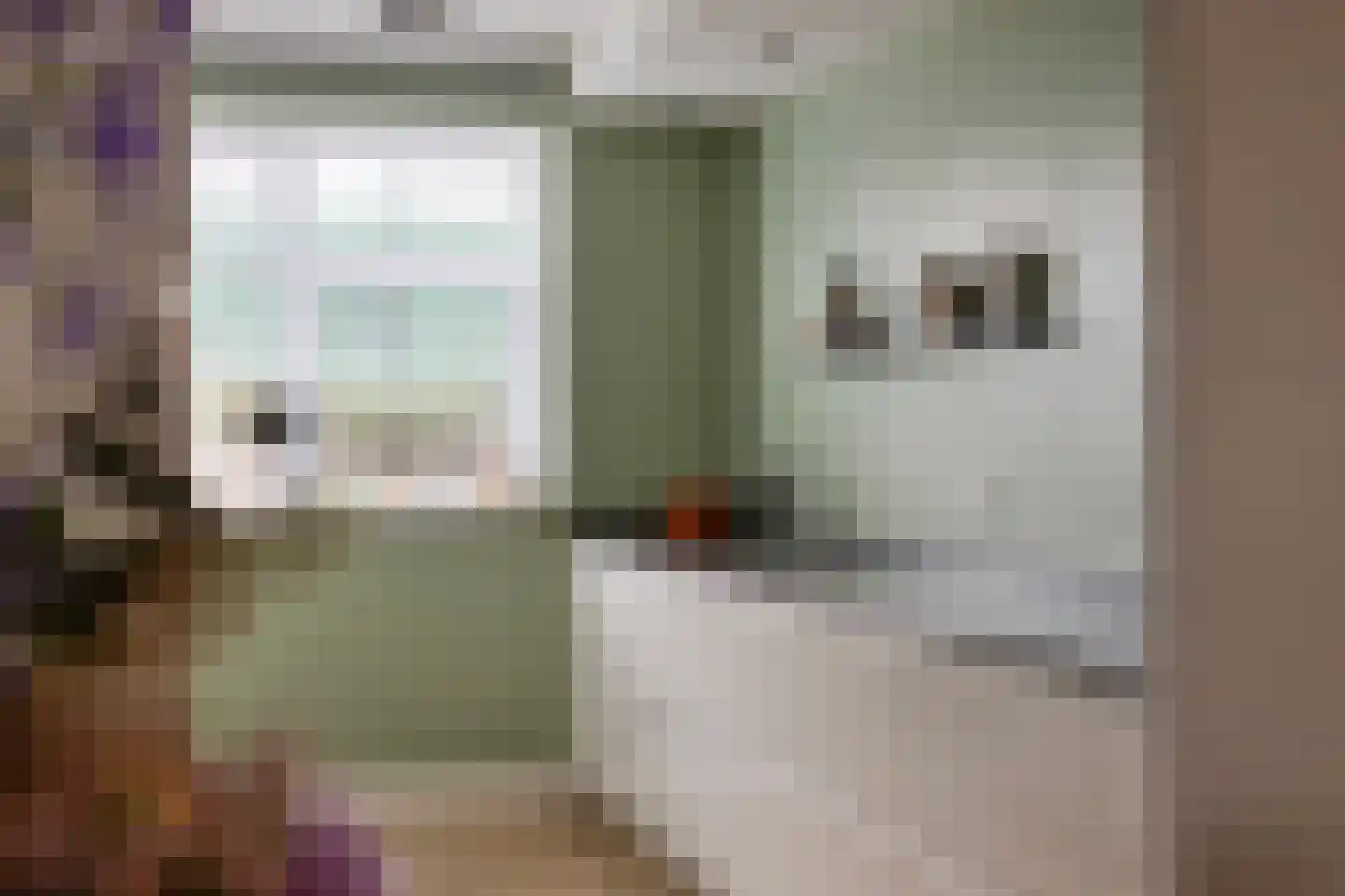 Houtblazersstraat 27 Eindhoven thumbnail 20