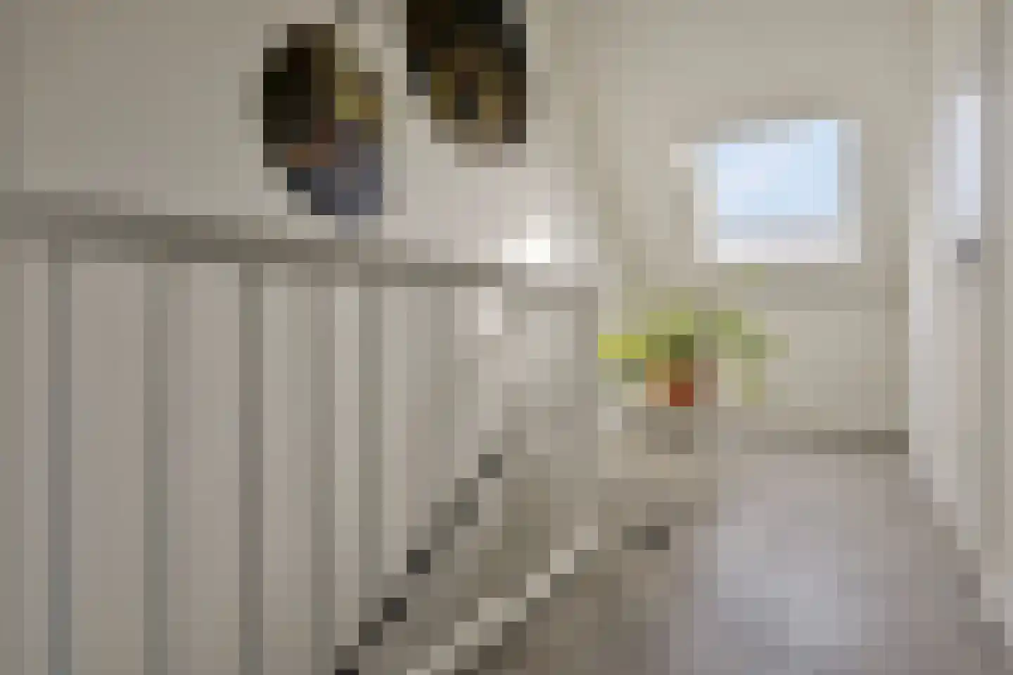 Houtblazersstraat 27 Eindhoven thumbnail 28