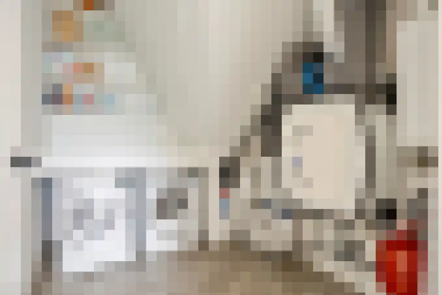 Houtblazersstraat 27 Eindhoven thumbnail 31
