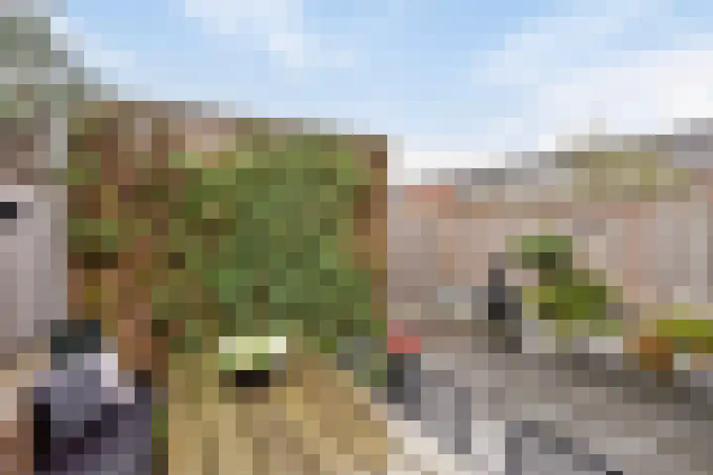 Houtblazersstraat 27 Eindhoven thumbnail 34