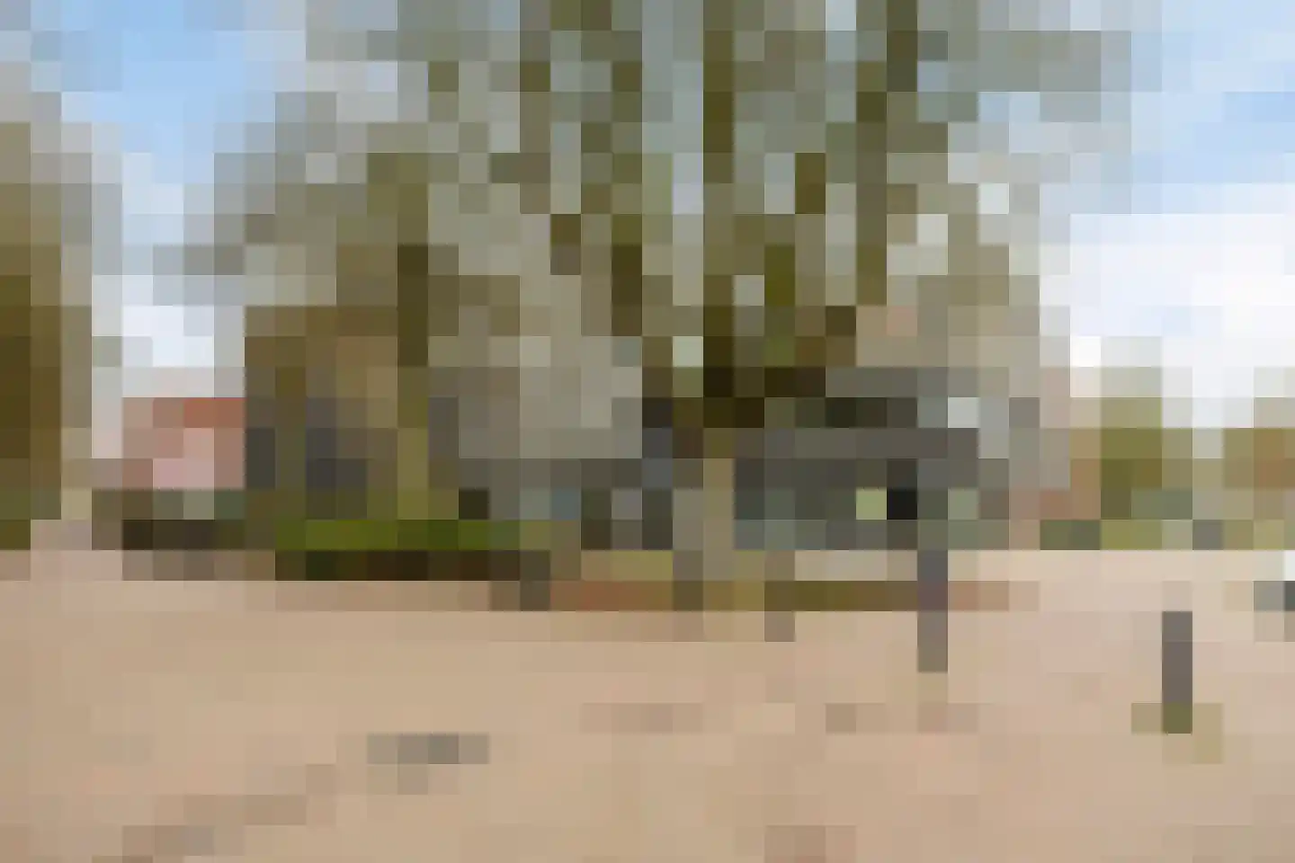 Houtblazersstraat 27 Eindhoven thumbnail 47