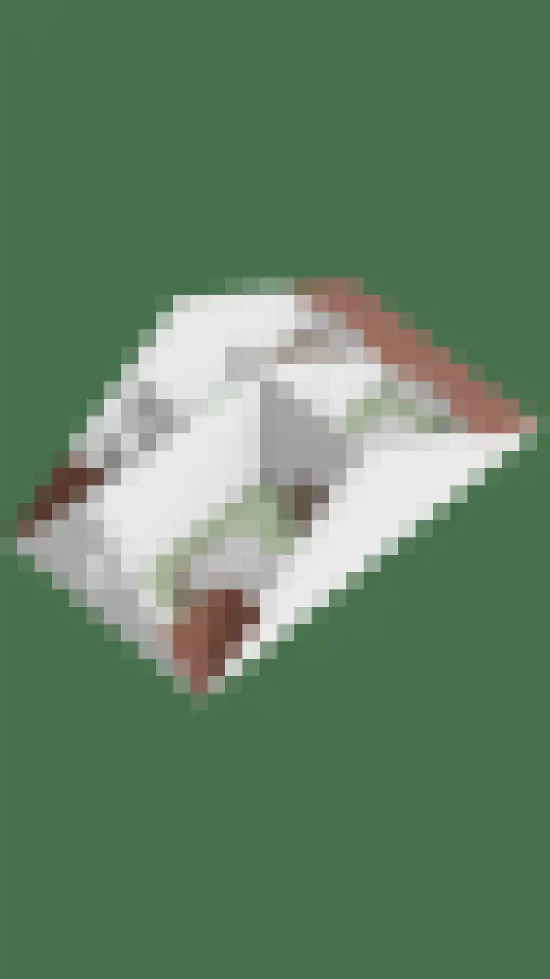 Houtblazersstraat 27 Eindhoven thumbnail 53