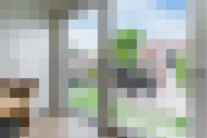 Houtblazersstraat 34 Eindhoven thumbnail 36