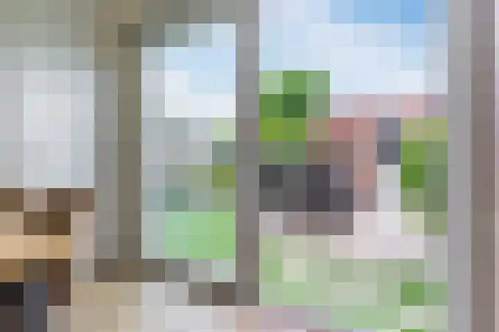 Houtblazersstraat 34 Eindhoven thumbnail 37