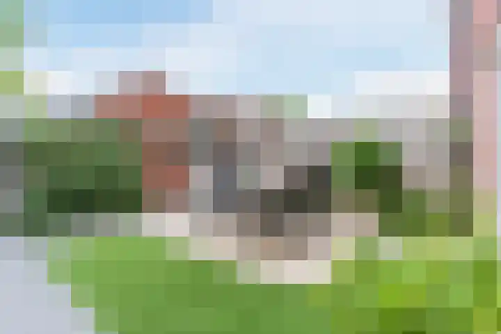 Houtblazersstraat 34 Eindhoven thumbnail 39