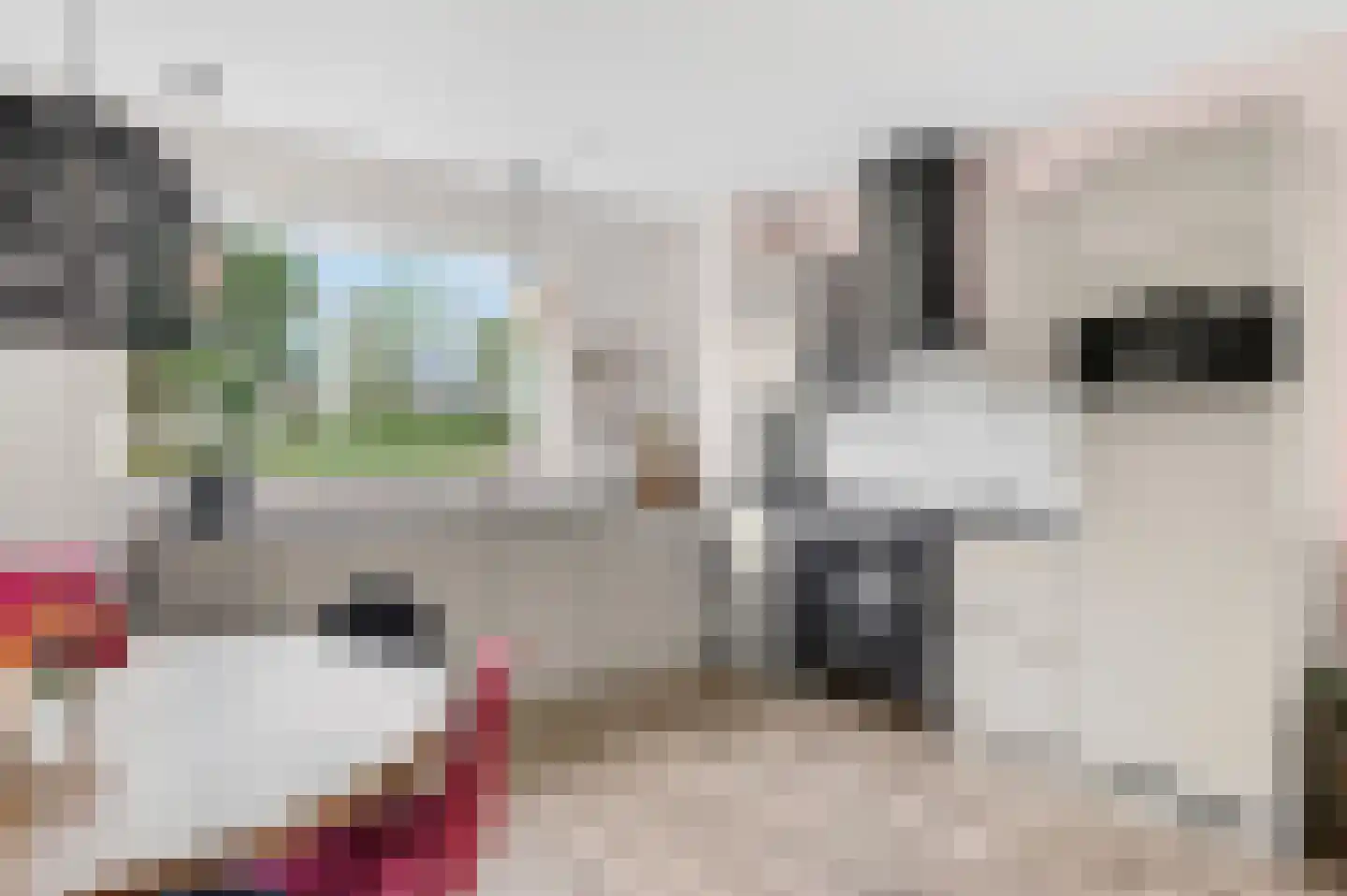 Houtblazersstraat 38 Eindhoven thumbnail 11