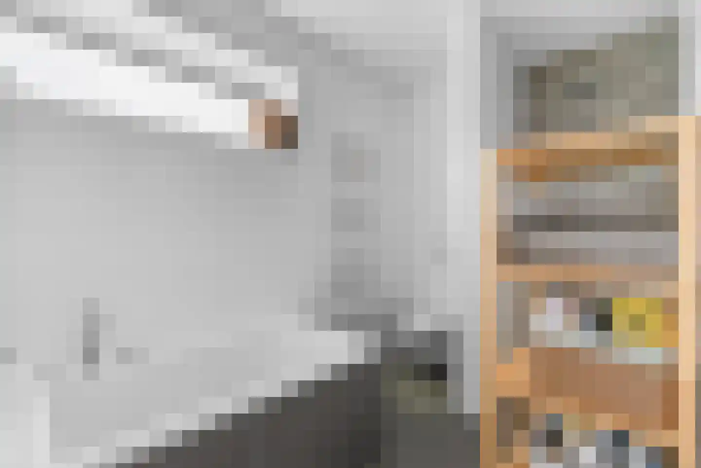 Houtblazersstraat 38 Eindhoven thumbnail 22