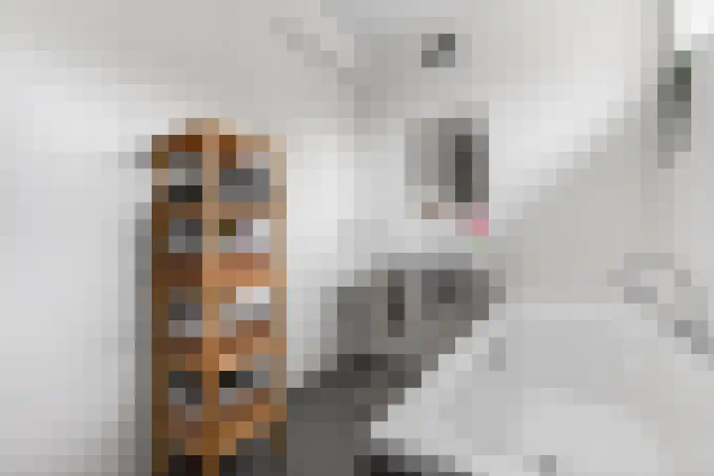 Houtblazersstraat 38 Eindhoven thumbnail 24