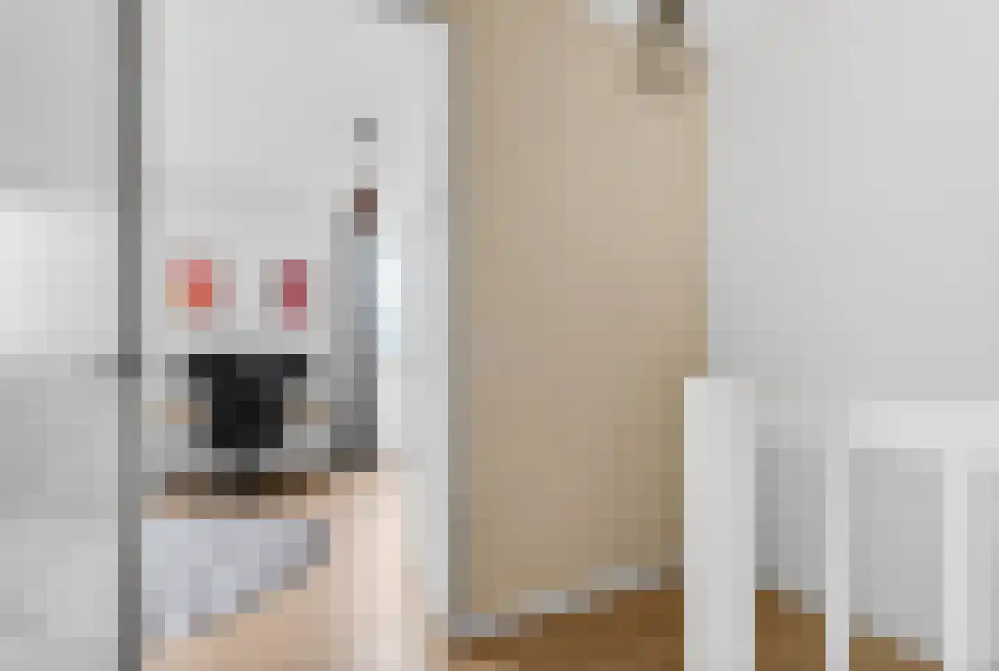 Houtblazersstraat 38 Eindhoven thumbnail 29