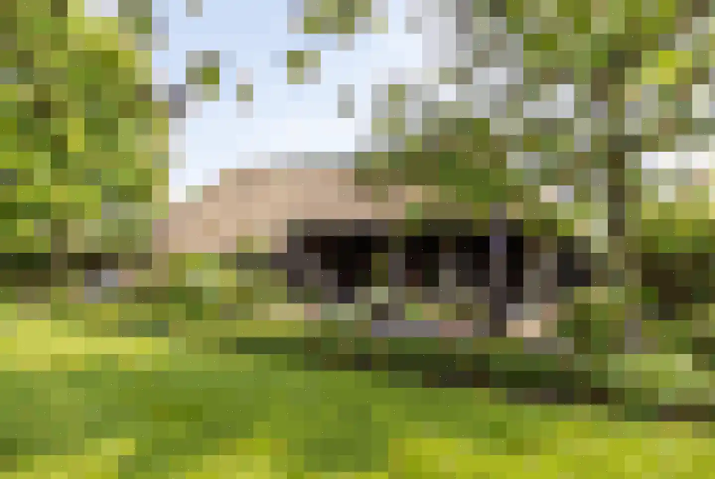 Houtbroekdijk 11 Someren thumbnail 25
