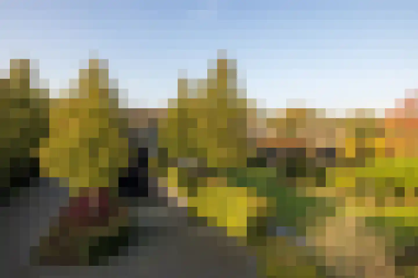 Houtbroekdijk 11 Someren thumbnail 29