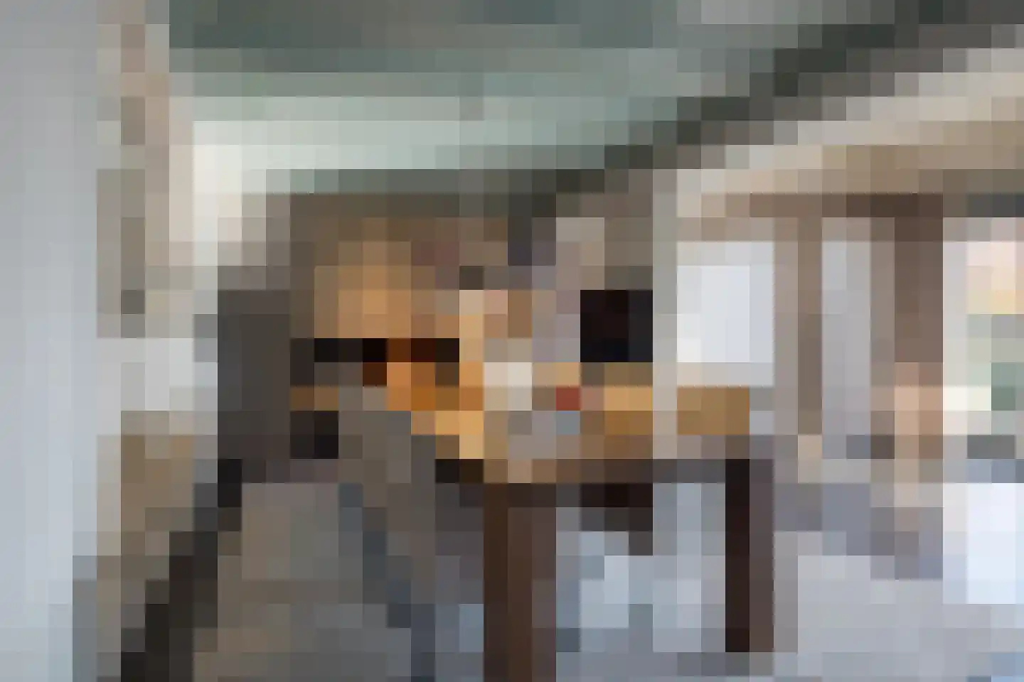 Houtbroekdijk 11 Someren thumbnail 6