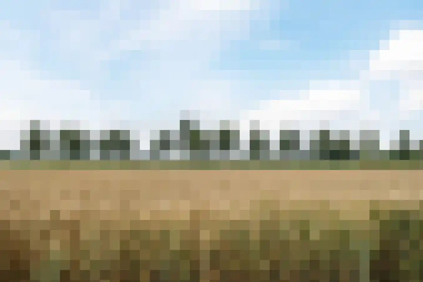 Houtbroekdijk 19 Someren thumbnail 51