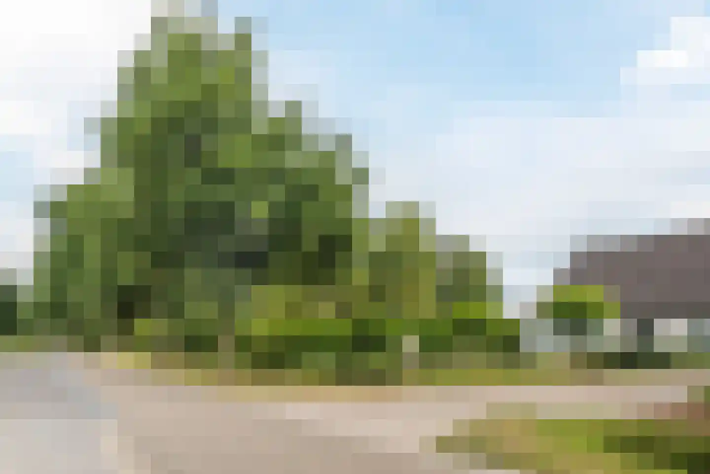 Houtbroekdijk 19 Someren thumbnail 55