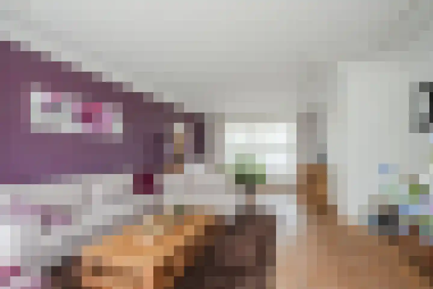 Houtbroekdijk 19 Someren thumbnail 8