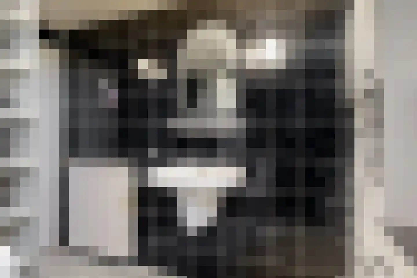 Houtdijkerpad 5 Kamerik thumbnail 16