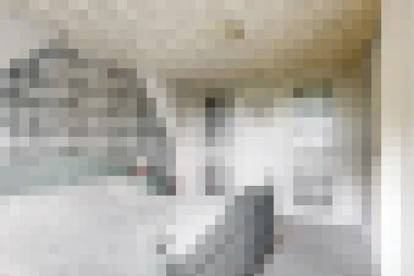 Houtdijkerpad 5 Kamerik thumbnail 23