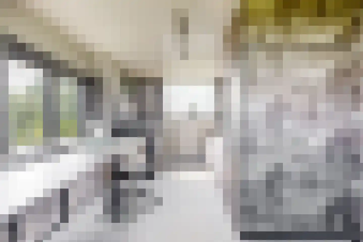 Houtdijkerpad 5 Kamerik thumbnail 24